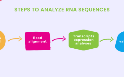 An Overview On RNA Sequence Analysis
