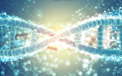 Ancient Family Reunion: PCR Reunites Humans to Ancestors