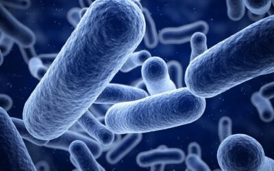 Becoming a Cell Minimalist – Scientists Synthesize Bare Essential Bacterial Genome