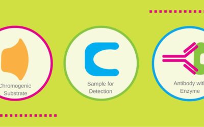 Chromogenic Assays: What they are and how they are used in research