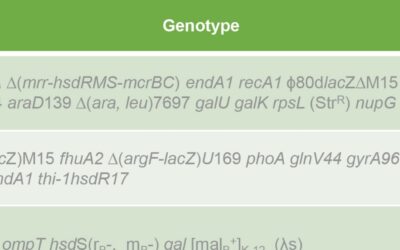 Guide to E. coli Genotype and Genetic Marker Nomenclature