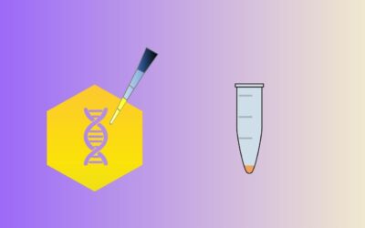 Guide to Plant DNA Extraction