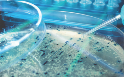 How Do Bacteria Develop Antibiotic Resistance?