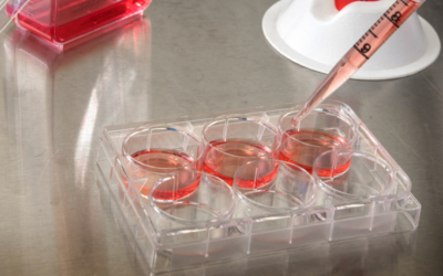 How to Detect Cell Culture Contamination