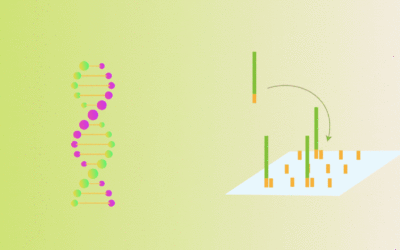 How to break up DNA for NGS library prep