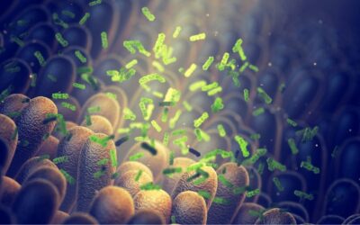 Human Infections and the Microbiome