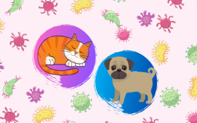 The Microbial World of Our Pets